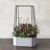 Cement Iron Cage 10" Wide Oval Planter, Outdoor Modern Flower Pot