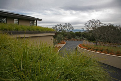 Portola Valley Roof Garden and More