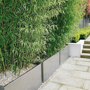 Inspiration for a modern garden in London.