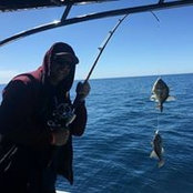 Anthony Damiani's photo