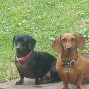 Beverley Mcmains's photo