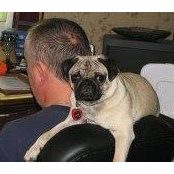 Karl Ackermann's photo