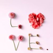 Marcy Chavez's photo