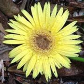 Debbie J Maines's photo