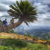 Rahul Talwar's photo