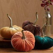 Cindy Heginbotham's photo