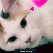 Jane Damoiseau's photo
