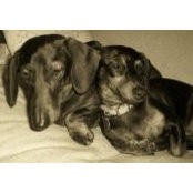 Colleen Kirvan's photo