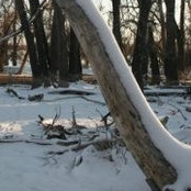 Carol Noren's photo