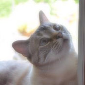 Patti Hillard's photo