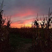 Erin Richards's photo