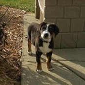 Colleen Herrera's photo