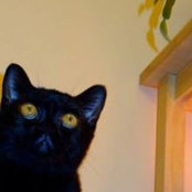 Tara Batista's photo