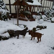 Foto von Ines Köhler