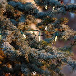 Alpharetta, GA Christmas Lighting Project String Light #2 - Holiday Lighting