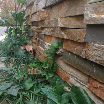 A yard