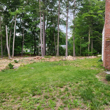 Clean-Up Services