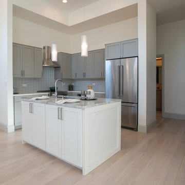 Cherry Creek Renovation: Kitchen