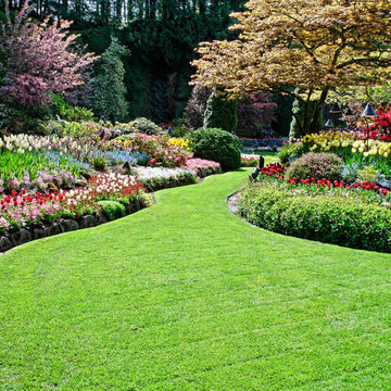 Lawncare & Landscape Maintenance