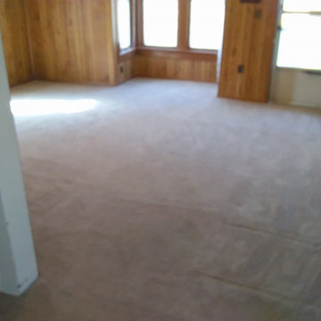 Carpet Stretch Weeping Water