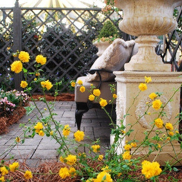 Festival of Flowers 2015