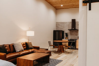 Example of a danish living room design in Austin
