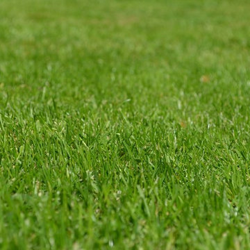 Fairfield CT - Lawn Care, Landscape Design, Hardscapes