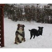 Lisa Maunder's photo