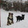 Lisa Maunder
