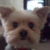Sarah McGinty's photo