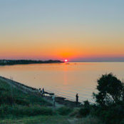 Emma Zbarsky's photo