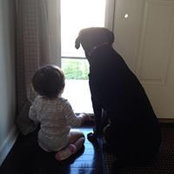 Francesca Gough's photo