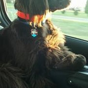 Tony Spears's photo