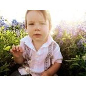 Joe Barschow's photo