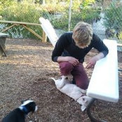 Josh McLaughlin's photo