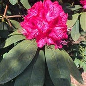 Etta Lou's photo