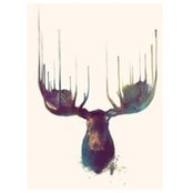 Sergiy Los''s photo