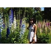 Amy Ivy's photo