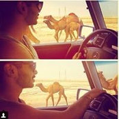 Sam Dashti's photo