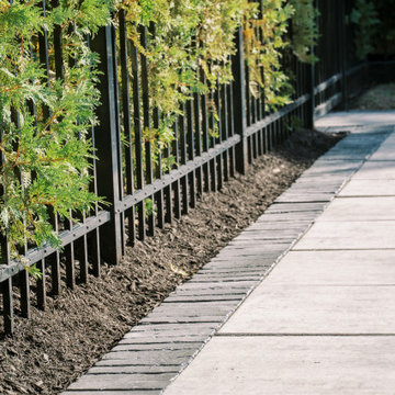 Landscape, Paver Patio, Fencing
