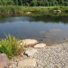 Swim Pond