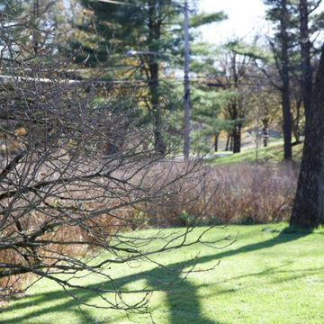 Bryn Mawr, PA - Native Meadow Design/Install