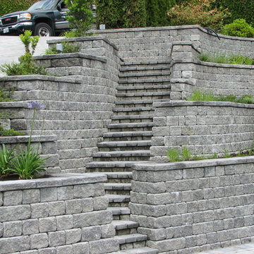 Our Work
