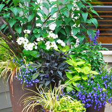 Planters