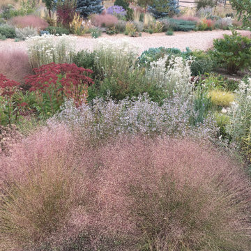 late fall in Meadow Garden, northern Colorado