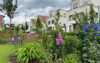 Сад недели: 4 сотки в Берлине — угловой участок
