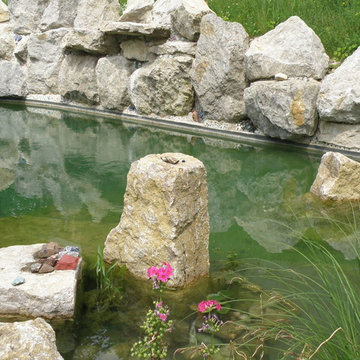 Teichpflanzung Privatgarten