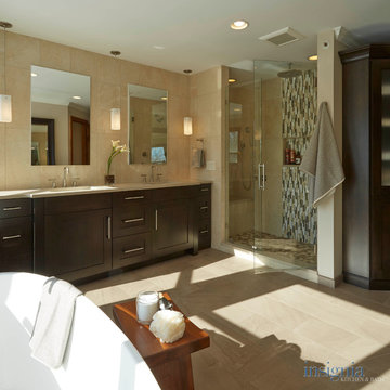 Transitional luxury master bathroom in Long Grove, IL