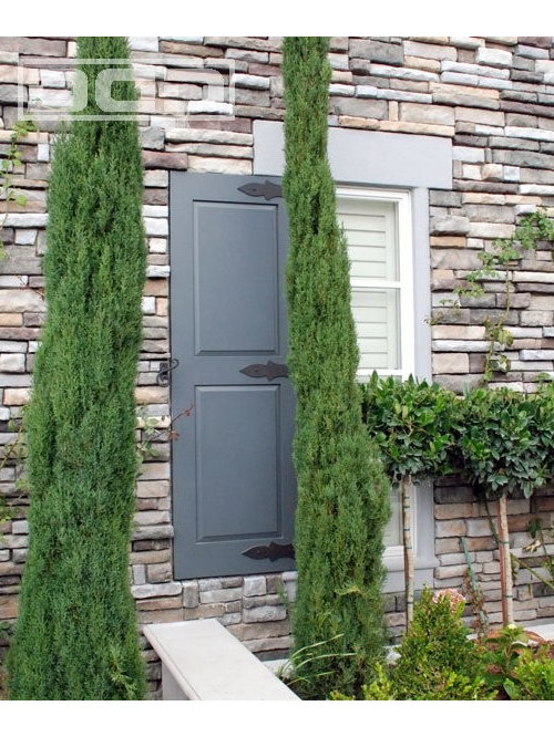 Decorative Shutter Hardware Houzz
