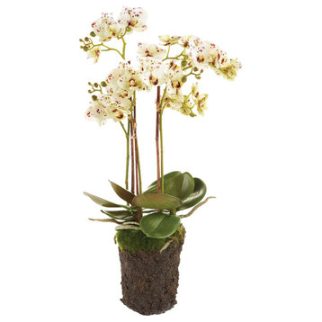 White Purple Phalaenopsis Orchid Faux Floral Artificial Plant Drop In Flowers
